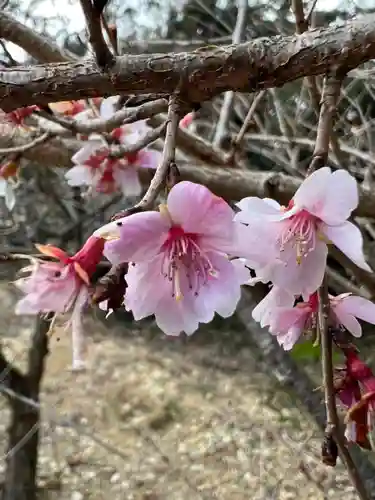 霊犬神社の自然