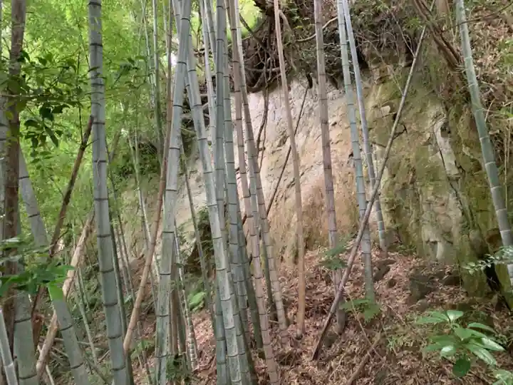 鹿島神社の周辺