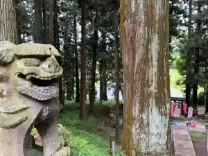 大宮温泉神社(栃木県)(2022年06月10日(金) 10時25分27秒投稿)