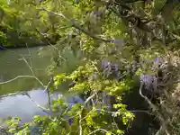 弁財天宮の自然