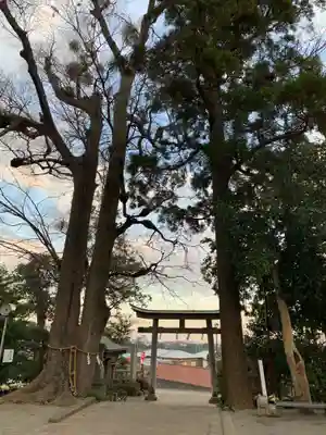 比々多神社のその他建物