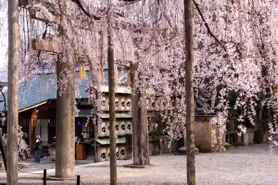 大石神社(京都府)
