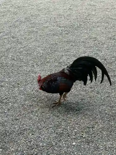 石上神宮の{uncategorized: "未分類", other: "その他", undefined: "問題あり", building: "その他建物", grave: "お墓", sacred_gate: "鳥居", guardian: "狛犬", statue: "像", buddha: "仏像", history: "歴史", nature: "自然", garden: "庭園", animal: "動物", pagoda: "塔", temizu: "手水舎", mountain_gate: "山門・神門", sanctuary: "本殿・本堂", subordinate: "末社・摂社", art: "芸術", scenery: "景色", jizo: "地蔵", ema: "絵馬", goshuin: "御朱印", omikuji: "おみくじ", items: "授与品その他", amulet: "お守り", goshuincho: "御朱印帳", eats: "食事", festival: "お祭り", votive_dance: "神楽", shichigosan: "七五三参", wedding: "結婚式", experience: "体験その他", initially: "初詣", around: "周辺", anti_infection: "感染症対策"}