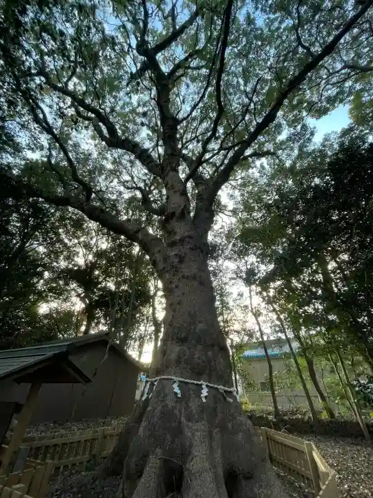 磯神社の{uncategorized: "未分類", other: "その他", undefined: "問題あり", building: "その他建物", grave: "お墓", sacred_gate: "鳥居", guardian: "狛犬", statue: "像", buddha: "仏像", history: "歴史", nature: "自然", garden: "庭園", animal: "動物", pagoda: "塔", temizu: "手水舎", mountain_gate: "山門・神門", sanctuary: "本殿・本堂", subordinate: "末社・摂社", art: "芸術", scenery: "景色", jizo: "地蔵", ema: "絵馬", goshuin: "御朱印", omikuji: "おみくじ", items: "授与品その他", amulet: "お守り", goshuincho: "御朱印帳", eats: "食事", festival: "お祭り", votive_dance: "神楽", shichigosan: "七五三参", wedding: "結婚式", experience: "体験その他", initially: "初詣", around: "周辺", anti_infection: "感染症対策"}