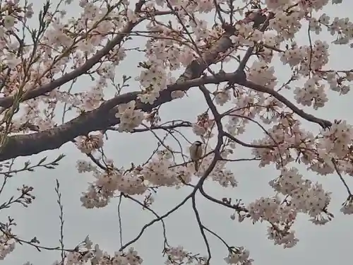 相武台神社(神奈川県)