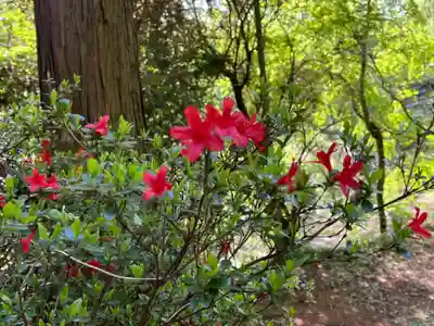 大宮温泉神社(栃木県)