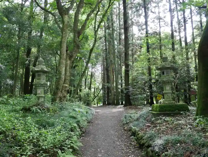 乃木神社の景色