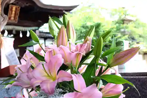 三津厳島神社の自然