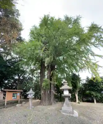 三栖神社のその他建物