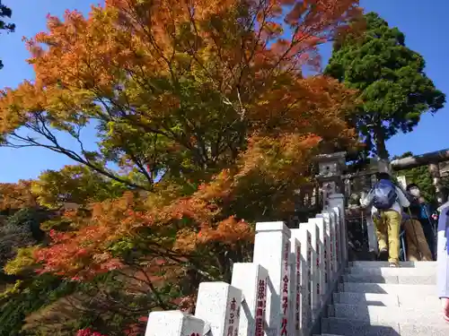 大山阿夫利神社の景色