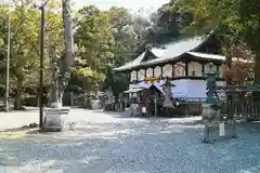 闘鶏神社の本殿