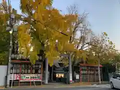 波除神社（波除稲荷神社）の鳥居