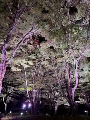 土津神社｜こどもと出世の神さま(福島県)