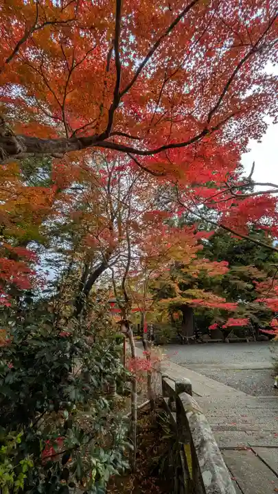 鍬山神社(京都府)