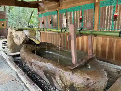 賀茂御祖神社(下鴨神社)の手水舎