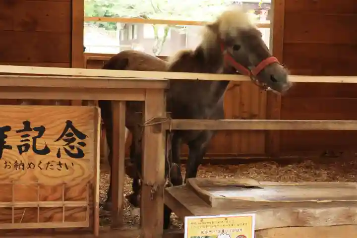 平塚八幡宮(神奈川県)