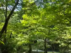 西明寺(京都府)