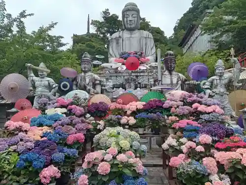 南法華寺（壷阪寺）(奈良県)