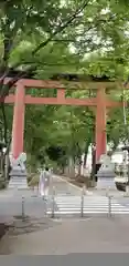 武蔵一宮氷川神社の鳥居