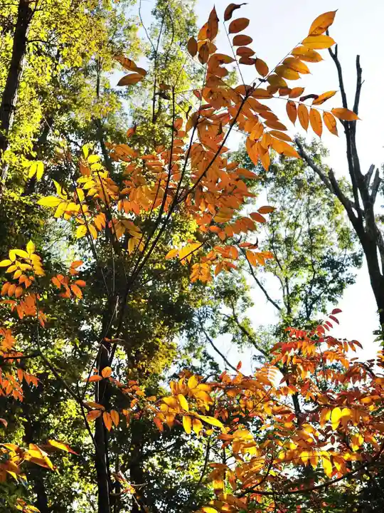 浄土寺(兵庫県)