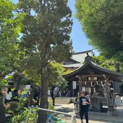 鳩森八幡神社の{uncategorized: "未分類", other: "その他", undefined: "問題あり", building: "その他建物", grave: "お墓", sacred_gate: "鳥居", guardian: "狛犬", statue: "像", buddha: "仏像", history: "歴史", nature: "自然", garden: "庭園", animal: "動物", pagoda: "塔", temizu: "手水舎", mountain_gate: "山門・神門", sanctuary: "本殿・本堂", subordinate: "末社・摂社", art: "芸術", scenery: "景色", jizo: "地蔵", ema: "絵馬", goshuin: "御朱印", omikuji: "おみくじ", items: "授与品その他", amulet: "お守り", goshuincho: "御朱印帳", eats: "食事", festival: "お祭り", votive_dance: "神楽", shichigosan: "七五三参", wedding: "結婚式", experience: "体験その他", initially: "初詣", around: "周辺", anti_infection: "感染症対策"}