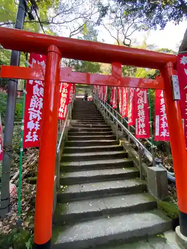 佐助稲荷神社の鳥居