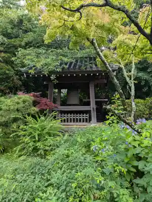 浄光明寺(神奈川県)