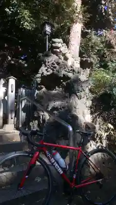 長崎神社の狛犬