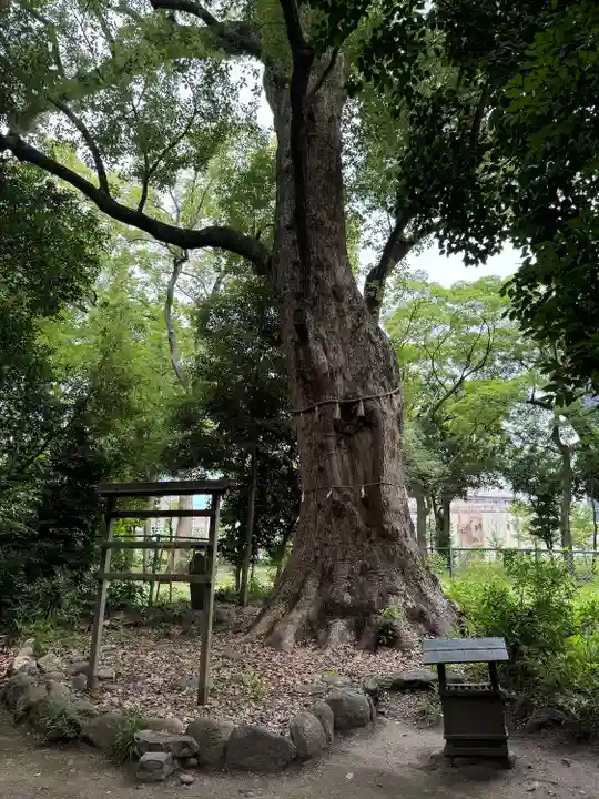 高座結御子神社(熱田神宮摂社)(愛知県)