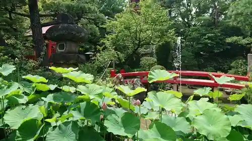 高幡不動尊　金剛寺の庭園