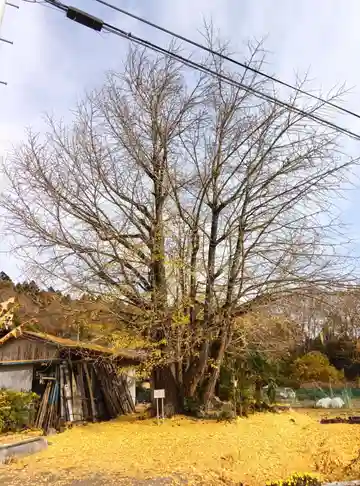 長言寺(埼玉県)