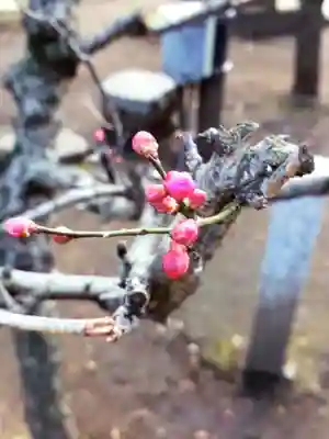 布多天神社(東京都)