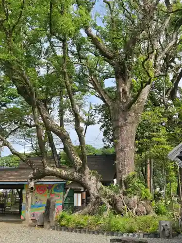 青井阿蘇神社(熊本県)