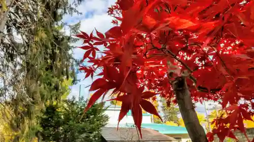 東川神社の自然