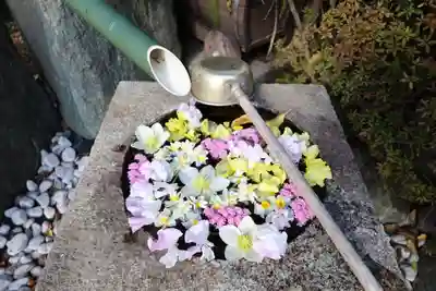 宗隆寺(神奈川県)