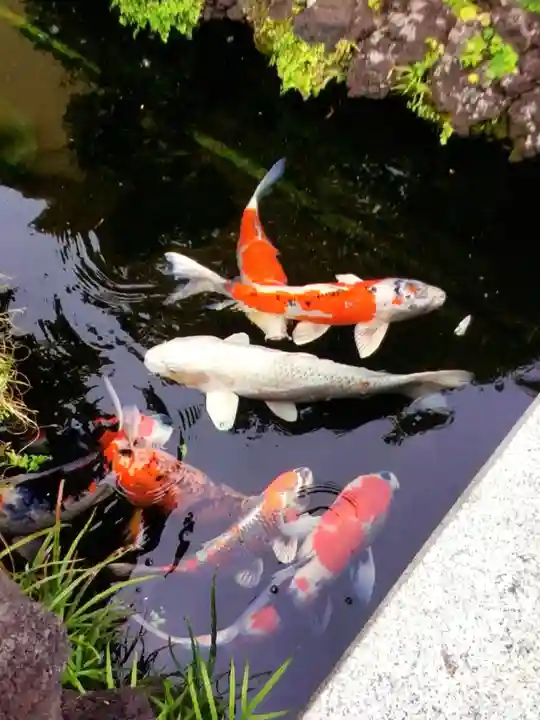 禅定院(東京都)