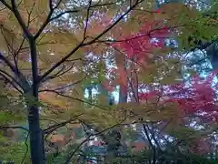 阿部野神社の自然