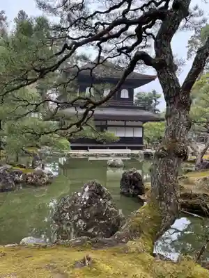 慈照寺（慈照禅寺・銀閣寺）(京都府)