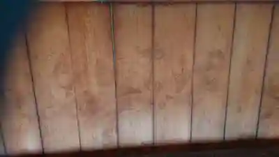 崇福寺のその他建物