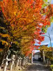 紅葉八幡宮(福岡県)