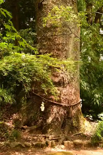 土佐神社(高知県)