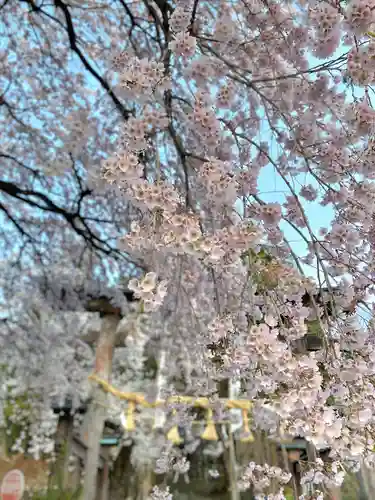 山家神社の自然