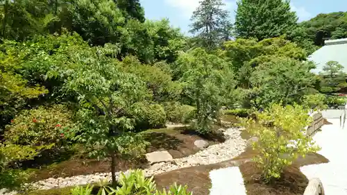 浄妙寺の庭園