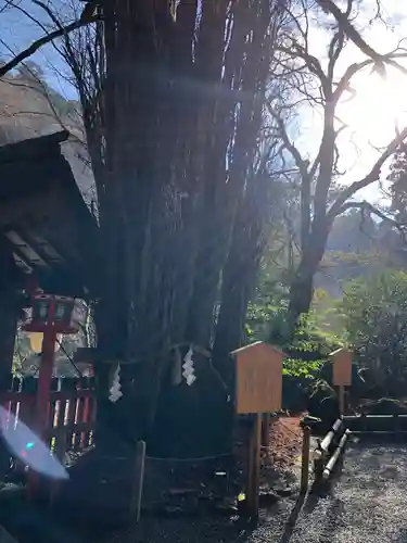 貴船神社の庭園