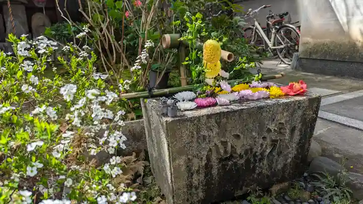 宝蔵寺(京都府)