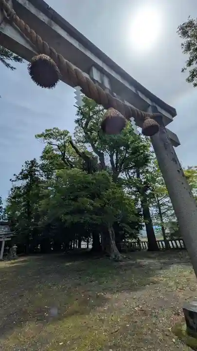 八幡神社(滋賀県)