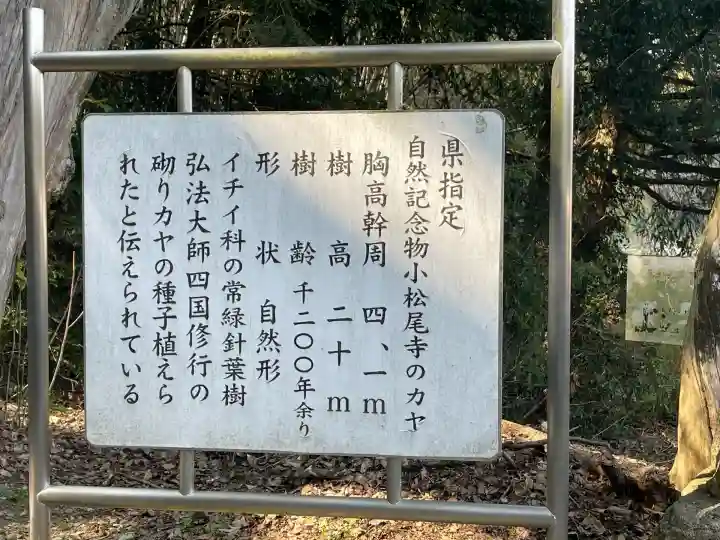 大興寺(香川県)