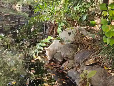 調神社(埼玉県)