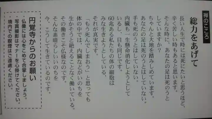 円覚寺の御朱印