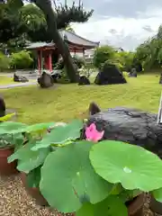 喜光寺(奈良県)